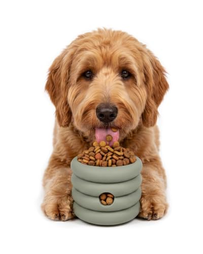Should We Go? Interactive Dog Enrichment Toy with Freezer Plug, BPA-Free Silicone Puzzle Dog Freeze Bowl & Treat Dispenser for Mental Stimulation, Ideal for Kibble & Frozen Licks, Fits 10 oz, Medium - size: Medium