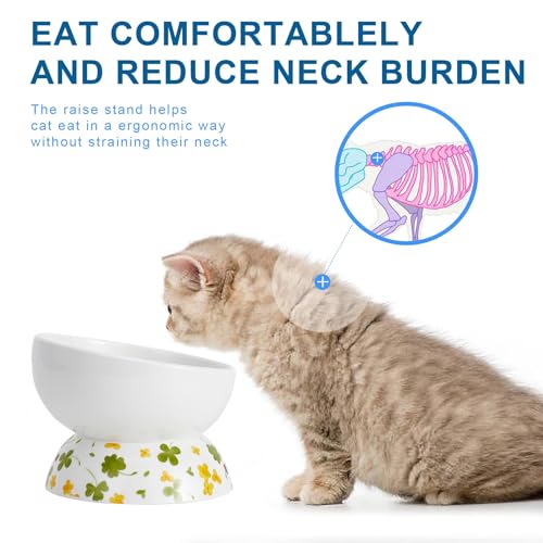Ceramic Elevated Cat Food and Water Bowls - 2 Pack Small Dog Feeding Set With Tilted Design and Anti-Slip Silicone Mat - color: lucky color