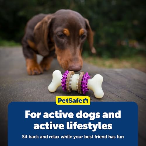 PetSafe Busy Buddy Bristle Bone, Large, Helps Keep Your Dog's Teeth Clean, Long-Lasting Playtime - size: Large, style: Bristle Bone