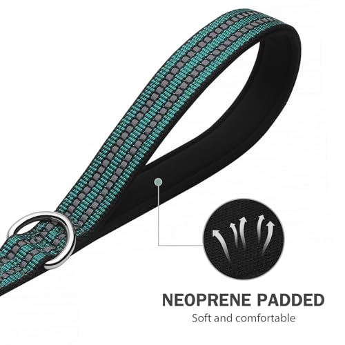 Hikiko 5 FT Heavy Duty Dog Leash with 2 Padded Handles Reflective Nylon Double Handle Dog Leash, Dark Green - color: Dark Green, size: 1 in x 5 ft