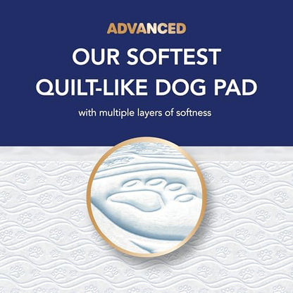 Scott Pet Guard Advanced Dog Pads - XL - 30" x 36" - 40 Pack of Pet Pads - size: X-Large 40 Pack