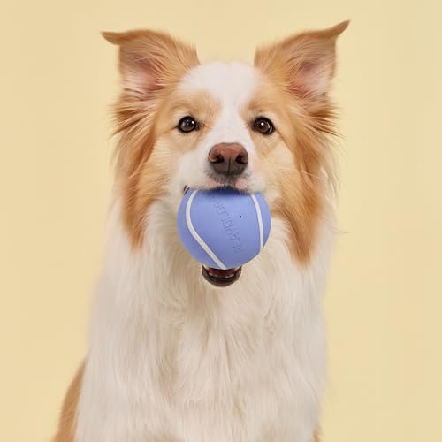 Playology Dog Toys | Squeaky Chew Ball for Large Dogs | Blueberry Scented Jumbo Dog Ball | Bouncy Floating Chew Toys for Fetch - size: Jumbo, style: Blueberry