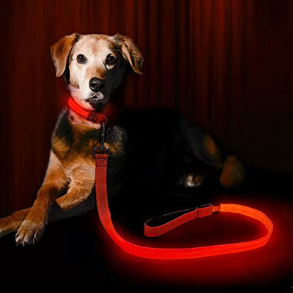 Candofly LED Dog Leash Rechargeable, 4 Ft Glow in The Dark Light Up Dog Leash, Nylon Reflective Dog Rope with Light for Small Medium Large Dogs (Orange) - color: Orange