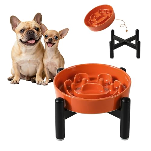 Elevated Slow Feeder Dog Bowl, 0.8 Cups Ceramic Raised Slow Feeder with Stainless Stand, 6.3 Inch Wide Lifted Dog Bowl for Small Breeds to Control Eating Speed, Orange - color: Orange, size: Small with Stand