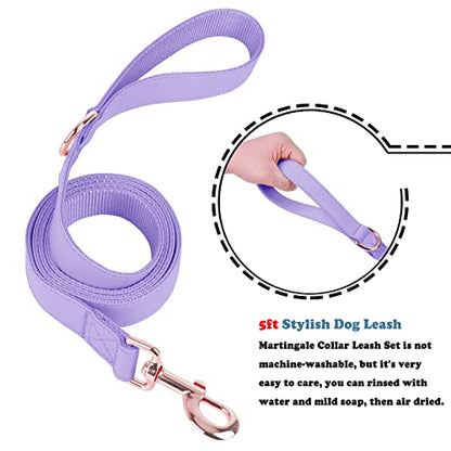 Soft Leather Martingale Dog Collar - Adjustable Rose Gold Limited Slip Collars [Easy to Clean], Stylish Durable Heavy Duty Nylon No Pull Training Collar for Small Medium Large Dogs (XS, Set Purple) - color: Set Purple, size: XS (Neck 8"-11", Width 3/5")