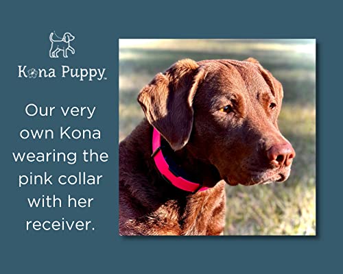 Waterproof E-Collar Replacement Strap Dog Collar for Invisible Fence/ecollar - Easy On Bungee - color: Teal, size: 1" Wide