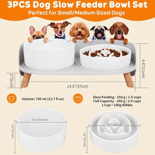 Elevated Slow Feeder Dog Bowls - Ceramic Food and Water Bowl Set with Stand - Raised Pet Dishes for Small and Medium Sized Dogs - color: White