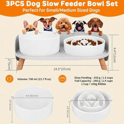 Elevated Slow Feeder Dog Bowls - Ceramic Food and Water Bowl Set with Stand - Raised Pet Dishes for Small and Medium Sized Dogs - color: White
