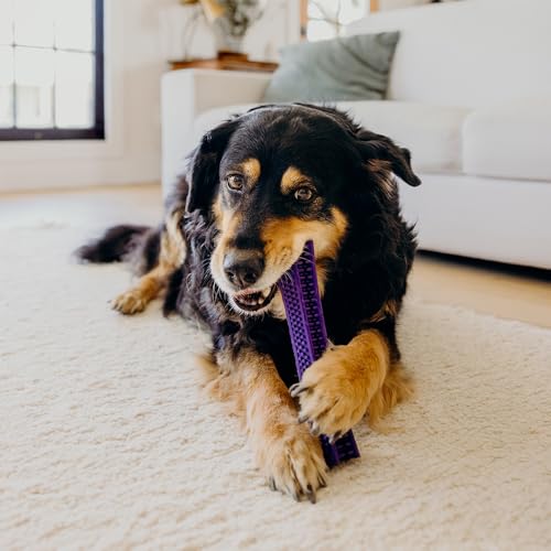 Playology Dog Toys | Dental Chew Stick for Senior Dogs | Pork Sausage Scented Medium Toy | Dog Chew Toy for Healthy Teeth and Gums - size: Medium Chew Stick, style: Pork Sausage