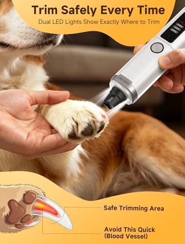 Dog Nail Grinder, Electric Dog Nail Trimmer Quiet with 2 LED Lights, 3-Speed Pet Nail Grinder for Dogs & Cats, Rechargeable 2000mAh Nail Grinder for Small Medium Large Dogs with Light, White - color: White