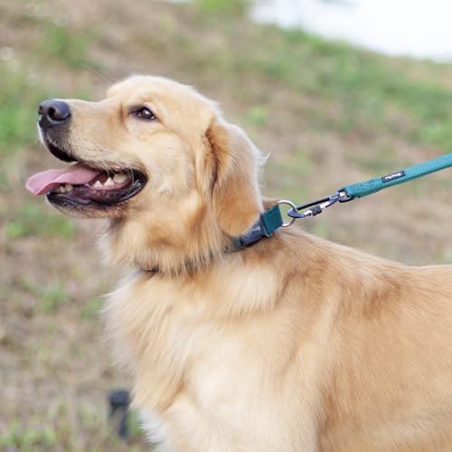Hyhug Small Dog Collar Quick-Release Green| Heavy-Duty Nylon Puppy Collar, Adjustable & Durable Pet Supplies for Boy & Girl Dogs (Small, Dark Green) - color: Dark Green, size: Small