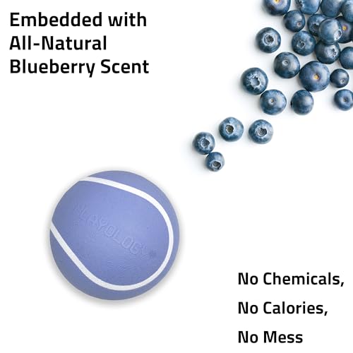 Playology Dog Toys | Squeaky Chew Ball for Large Dogs | Blueberry Scented Jumbo Dog Ball | Bouncy Floating Chew Toys for Fetch - size: Jumbo, style: Blueberry