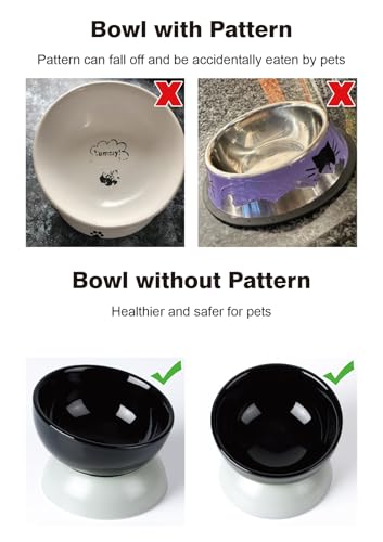 ABRUTY Cat Water Bowl, 16 OZ Ceramic Elevated Cat Bowls, 15° Tilted and Raised Pet Food Dish, Anti Vomiting Protect Pets' Spines and Whisker Fatigue, Black & Gray - color: Black & Gray, size: 1 Pack