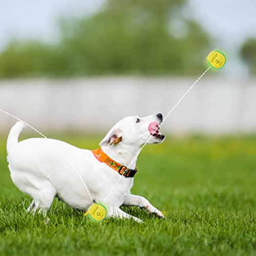 BINGPET Dog Pool Toys, Floating Dog Ball 2 Pack, Dog Water Bouncing Balls Toy, Interactive Dog Training Games Chew Balls for Small and Medium Dogs - color: Yellow