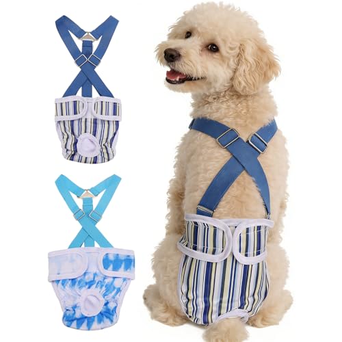 Washable Female Dog Diapers with Suspender, Reusable Dog Diapers Absorbent Leakproof(Striped Blue/Tie-Dye Light Blue XS, 2Pcs), Intended for Female in Heat Cycle - color: Striped Blue/Tie-Dye Light Blue, size: XS