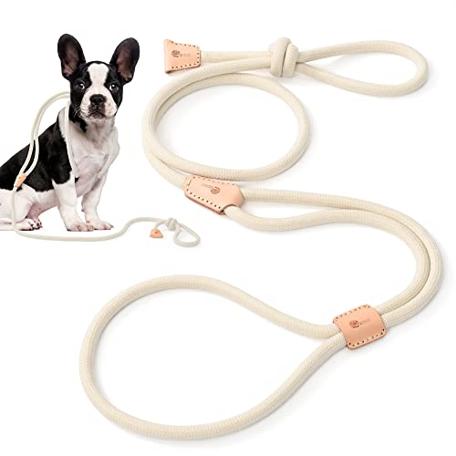 Mile High Life Harness Lead No Pull, All in one Dog Lead 2-in-1, Rope Leash and Harness Two in One, Slip Leash for Puppy Small Dogs Training, 4FT White - color: 4 feet-White