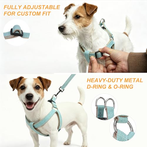 BEAUTYZOO Adjustable No Pull Dog Harness and Leash Set, Linen Style Woven Webbing Step-in Harness, Breathable Pet Vest for Small Medium Dogs Walking Training, Green M - color: Green, size: M(Chest:17.3-23.4")