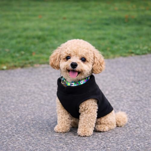 JACKO & CO - Fleece Vest Dog Sweater with Leash Ring - Soft, Warm & Lightweight Pullover Coat for Small & Medium Dogs, Puppies & Cats - Cozy Fall/Winter/Spring Pet Jacket (Black, Small 4-6lbs) - color: Black, size: S (4-6lbs)