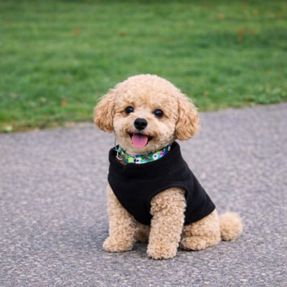 JACKO & CO - Fleece Vest Dog Sweater with Leash Ring - Soft, Warm & Lightweight Pullover Coat for Small & Medium Dogs, Puppies & Cats - Cozy Fall/Winter/Spring Pet Jacket (Black, Small 4-6lbs) - color: Black, size: S (4-6lbs)