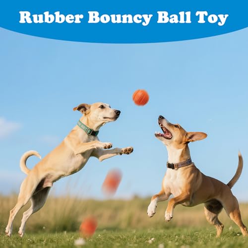 10 Pack Dog Balls, Size Medium for Dogs 20-60 lbs, Bite Resistant Elastic Balls for Dogs with Mesh Bag, Durable Rubber, Floating Dog Balls, 2.5-inch Diameter - size: 10 PCS
