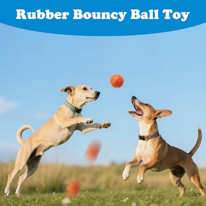 5 Pack Dog Balls, Size Medium for Dogs 20-60 lbs, Bite Resistant Elastic Balls for Dogs, Durable Rubber, Floating Dog Balls, 2.5-inch Diameter - size: 5 PCS