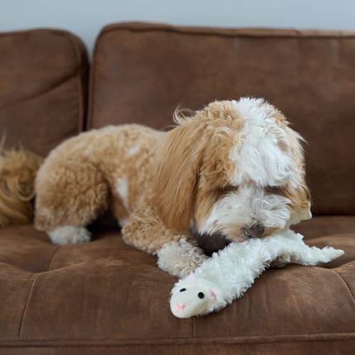 SPOT Skinneeez Crinklers Lamb - Stuffing-Free Dog Toy with Crinkle & Squeaker Sounds, Durable for Moderate Chewers, Tug Toy for Small Dogs & Puppies, 14in - style: Small Lamb