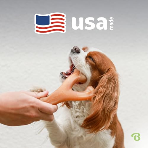 Benebone 2-Pack Wishbone Durable Dog Chew Toy for Aggressive Chewers, Real Bacon Made in USA, Medium - size: 2 Pack - Medium