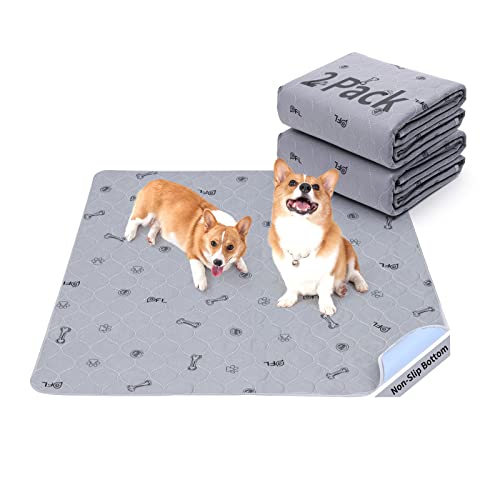 Washable Pee Pads for Dogs, 2Pack Puppy Pads Washable with Bone Print,Absorbent Reusable Whelping Pads Non-Slip Dog Mats for Floor Protector, Couch Cover, Crate, Potty Training 31x36 - size: 31X36" (Pack of 2)