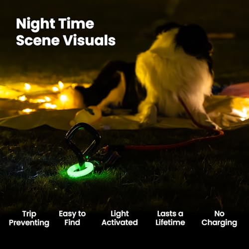 Dog Tie Out Stake for Outdoor Adventures - Glow in the Dark, Heavy Duty - for Large Dogs Up to 210 lbs, Rust-Proof, Durable - Portable for Camping, Beach, or Yard - Compatible with Any Leash