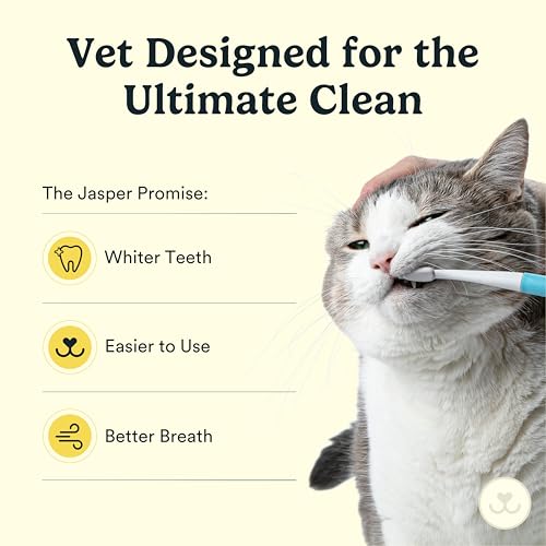 Jasper Microbrush Vet Approved Cat Toothbrush, Soft-Bristled Toothbrush Kit for Felines & Small Dogs, Non-Slip Handle with 2 Replaceable Tooth Brush Heads, Use with Cat Toothpaste, 2-Pack, Gray Mist - color: Gray 2 Pack