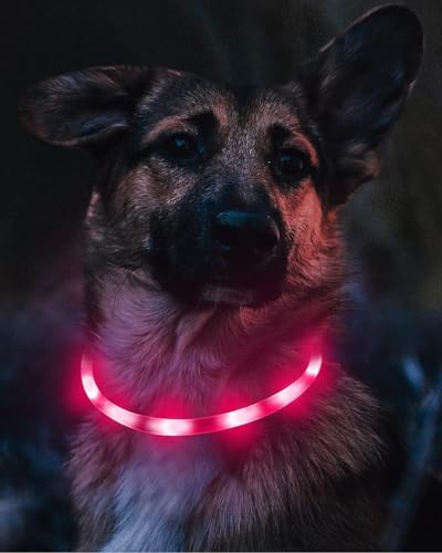 Joytale Light Up Dog Collar, Rechargeable Rainproof LED Collar for Night Walking Safety, Soft Silicone Glow in The Dark, Suitable for Small Medium Large Dogs, HotPink - color: Pink