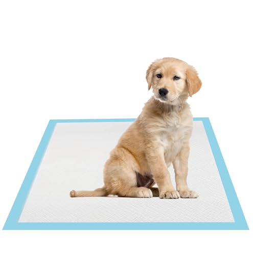 22x22 Dog Pee Pads 40 Count, Charcoal Puppy Training Pads, Super Absorbent 6-Layer Leak-Proof for Dogs, Fast-Drying, Potty and Floor Protection