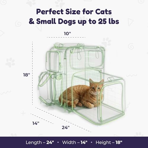 Premium Expandable Cat Carrier Backpack with Car Seat Belt Safety System – Rigid Frame Pet Carrier Backpack for Cats & Small Dogs up to 25 lbs – Breathable, Durable – Includes Bottle & Feeding Bowl - color: gray/green