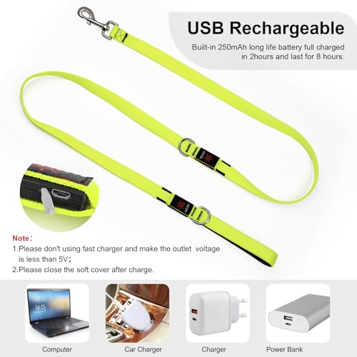 Colaseeme LED Light Up Dog Leash, USB Rechargeable (6FT,Green) | Glow in dark, reflective, USB-C rechargeable, bright LED for night safety, fits medium to large dogs - color: Green, size: 6FT