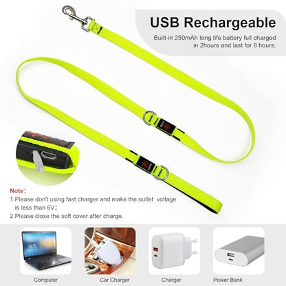 Colaseeme LED Light Up Dog Leash, USB Rechargeable (6FT,Green) | Glow in dark, reflective, USB-C rechargeable, bright LED for night safety, fits medium to large dogs - color: Green, size: 6FT