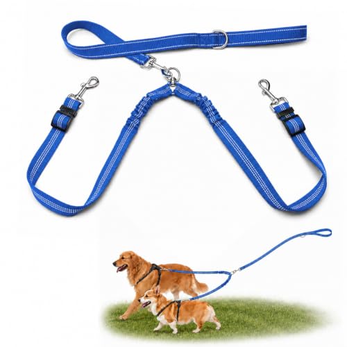 Double Dog Leash for Two Dogs, Complete Set with 31.5" Main Leash + Adjustable Splitter, Padded Handle, D-Ring, 360° Swivel, Shock-Absorbing Bungee, Reflective for Small Medium Large Dogs (Blue) - color: Blue