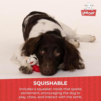 Multipet Lamb Chop Dog Plush Toy-Squeaky Toy for All Dogs - Extra Soft Plush - Stuffed Animal Dog Toy for Cuddling & Playing - Cute Pet-Toy (6", Cream) (Pack of 2) - size: 6" (Pack of 2), style: White
