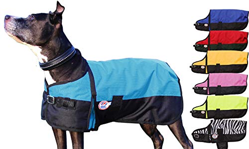 Derby Originals Horse Tough 600D Ripstop Waterproof Winter Dog Coat 150g Medium Weight - color: Hurricane Blue, size: 22 in