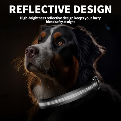 Reflective Dog Collar with Buckle, Heavy Duty Dog Collars with Soft Padded, Adjustable, Ultra-Durable, Pet Collar for Small Medium and Large Dogs (Black, L) - color: Black, size: L (18-26'')