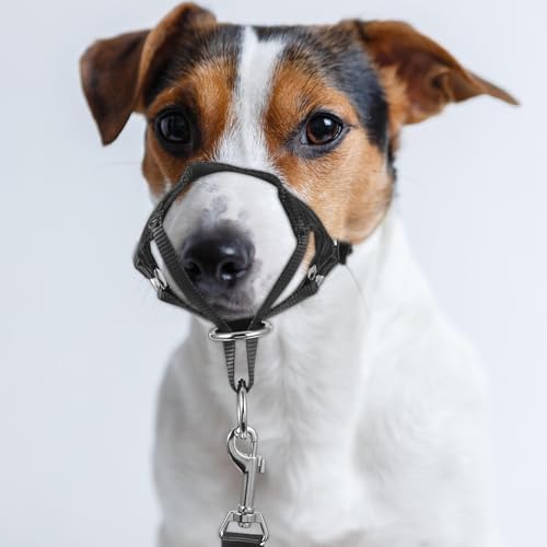 Healifty Adjustable Soft Dog Muzzle 2pcs Set Large Size Pet Grooming Mask for Training Walking and Travel