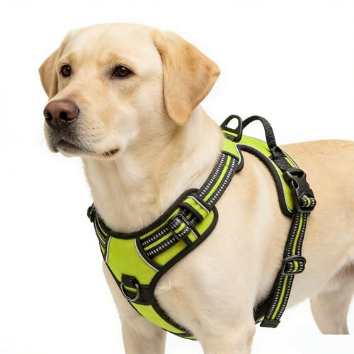 Green No-Pull Dog Harness with 2 Leash Clips，Soft Padded Vest for Medium Dog, Adjustable Reflective Dog Vest Easy to Put on and Take Off, (Neck: 14"~20", Chest: 21"~27", Green M) - color: Green, size: Medium