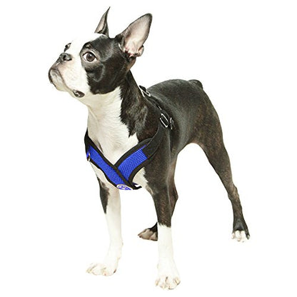 Gooby - Comfort X Step-in Harness, Choke Free Small Dog Harness with Micro Suede Trimming and Patented X Frame, Blue, Small - color: Blue, size: Small