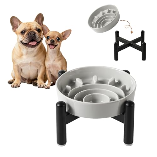 Elevated Slow Feeder Dog Bowl, 0.8 Cups Ceramic Raised Slow Feeder with Stainless Stand, 6.3 Inch Wide Lifted Dog Bowl for Small Breeds to Control Eating Speed, Grey - color: Grey, size: Small with Stand