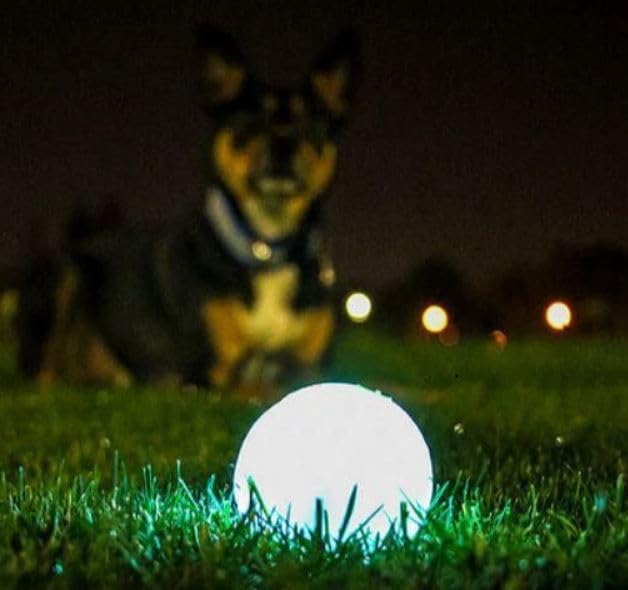 Chuckit! Glow in the Dark Bouncy Balls - Ball for Dogs, Dog Toy, Max Glow Balls - Extra-Large, 3.5 Inch (Pack of 12) - size: Extra-Large (Pack of 12)