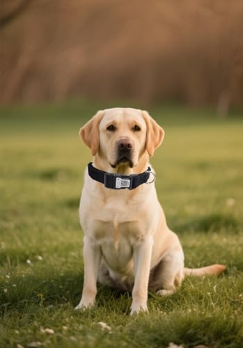 THAIN Smart QR Code Dog Collar-Nylon & Velvet Pet Collar with Unique ID Registration, Adjustable Plastic Buckle for Large Dogs–Black, Red, Pink, Yellow (Black, L) - color: Black, size: L