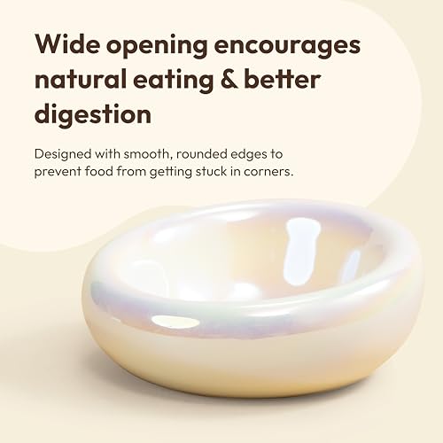 Pebble Pet Bowl Deep Pearl, Ergonomic Dog Cat Feeding Bowl, Flat-Faced Breed, Tilted Ceramic Pet Food Dish, Scooper Eater, Anti-Spill Design, Dishwasher Safe, Modern Pet Bowl, Dry & Wet Diet - color: Pearl
