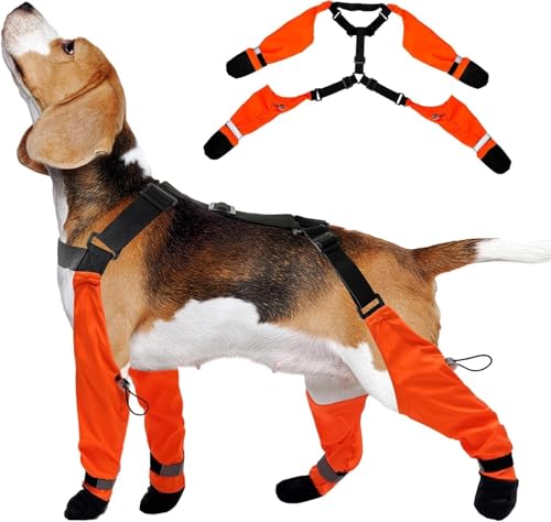 Dog Suspender Boots, Large Dog Rain Boots, Waterproof Dogs Boot Legging Pants, Anti-Slip Dogs Paw Protectors Stay-On Shoes with Suspenders for Outdoor Walk, Rain, Snow, Hike, Hot Pavement(M,Oranged) - size: Medium