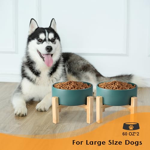 SPUNKYJUNKY Ceramic Elevated Dog Bowls 2 Pack - 8.3inch Raised Dog Bowls with Non-Slip Wooden Stand for Large Dogs Dishwasher Safe(Green,60OZ*2) - color: Green, size: Large - 7.6 CUPS*2