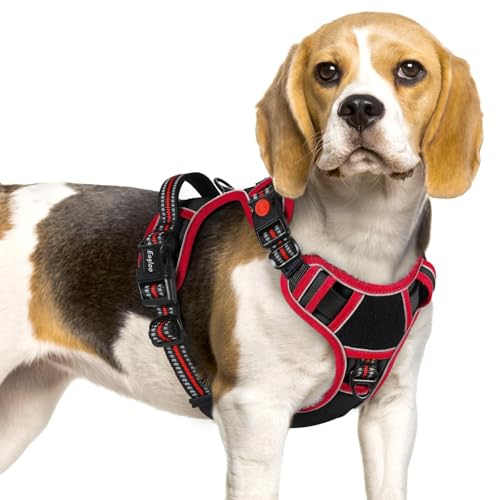 Eagloo Dog Harness Small Sized, Easy Wearing with 3 Buckles, Adjustable No Pull Pet Harness with 2 Rings for Walking, No Chock Reflective Soft Padded Vest with Control Handle, Black & Red, S - color: Black & Red, size: Small