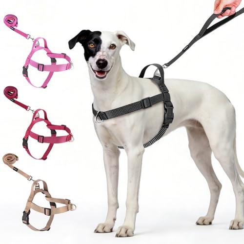 Annchwool No Pull Dog Harness with Front Clip and Easy Control Handle-Belly & Chest Adjustable Dog Harness and Leash Set for Medium Large Dogs-Heavy Duty Vest Harnesses Easy for Walking(Black,XL) - color: Black, size: XL